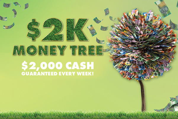Money Tree_THUMB